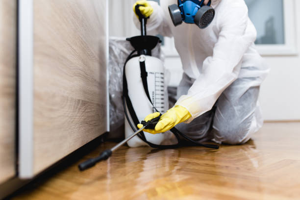 Reliable Eden Prairie, MN Pest Control Solutions