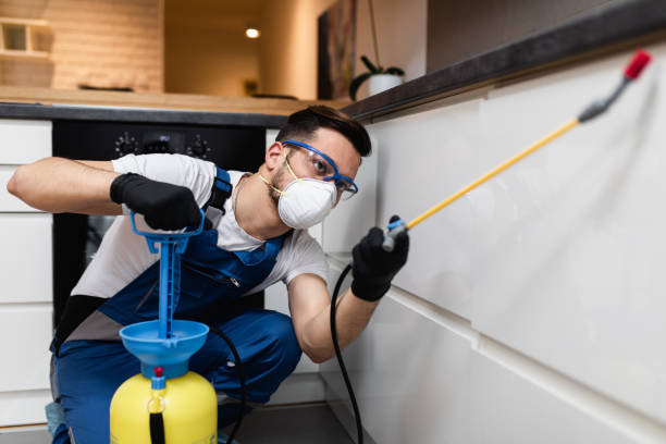 Best Residential Pest Control  in Eden Prairie, MN