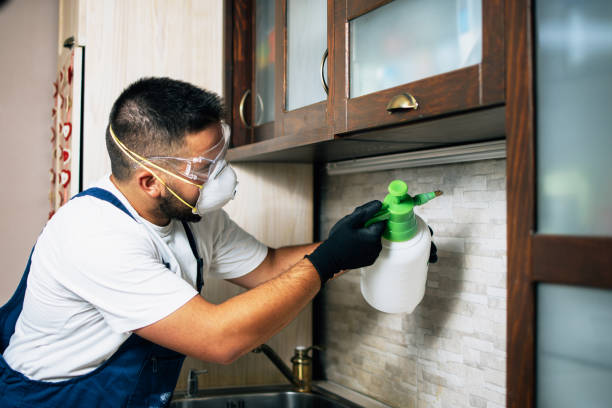 Best Pest Prevention Services  in Eden Prairie, MN