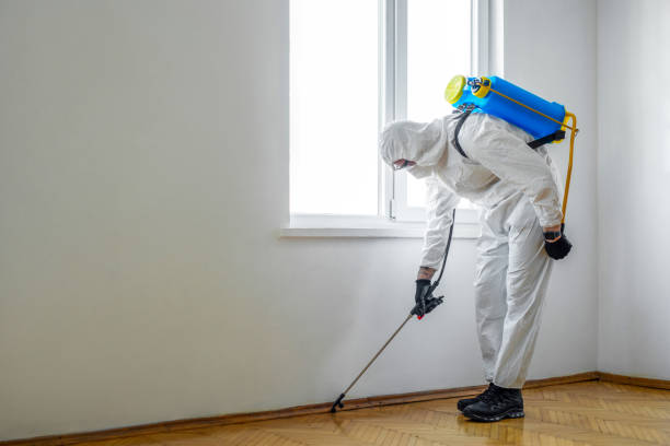 Best Wasp Removal Services  in Eden Prairie, MN