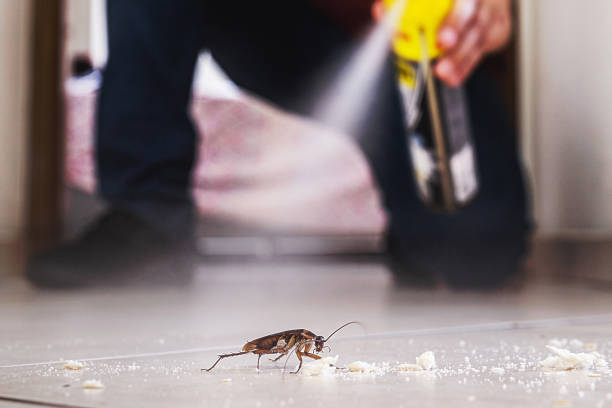 Trusted Eden Prairie, MN Pest Control Experts