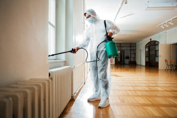 Best Flea Control Services  in Eden Prairie, MN