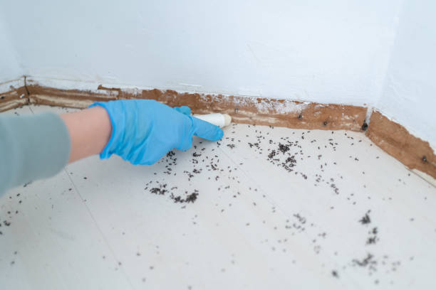Best Exterminator Services  in Eden Prairie, MN