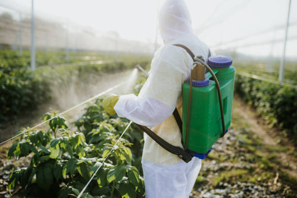 Best Ant Control Services  in Eden Prairie, MN